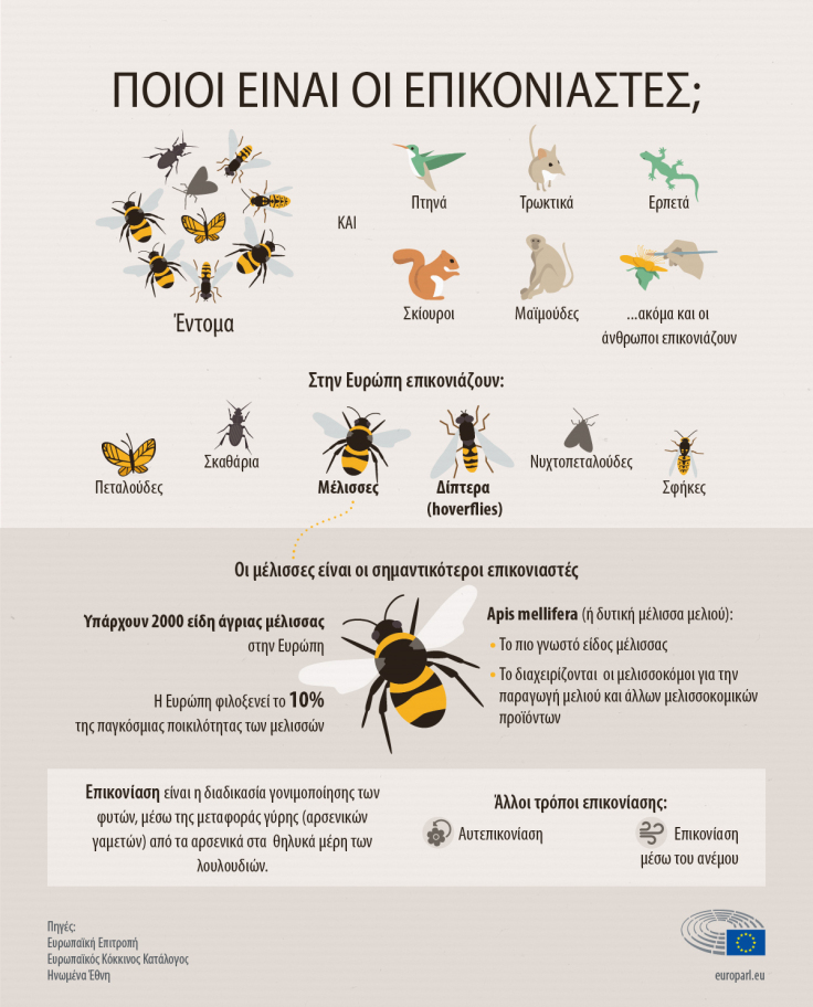 Pollinators Cheat Sheet